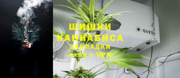 молекула духа Алексеевка