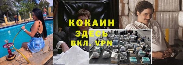 молекула духа Алексеевка
