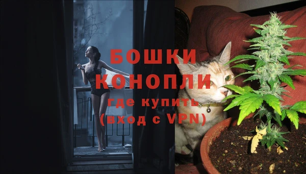 молекула духа Алексеевка