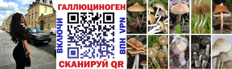 магазин гидра маркетплейс Галлюциногенные грибы мицелий Ачинск